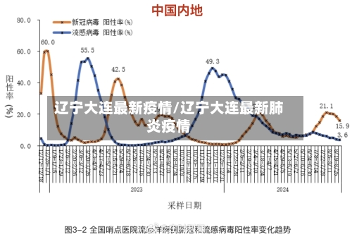 辽宁大连最新疫情/辽宁大连最新肺炎疫情-第2张图片