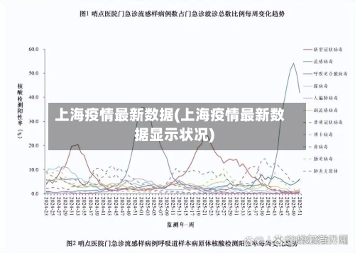 上海疫情最新数据(上海疫情最新数据显示状况)-第3张图片