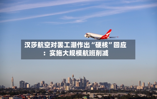 汉莎航空对罢工潮作出“硬核	”回应：实施大规模航班削减-第3张图片