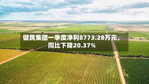 健民集团一季度净利8773.28万元	，同比下降20.37%-第3张图片