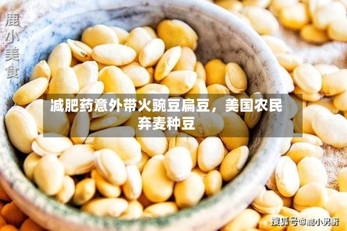 减肥药意外带火豌豆扁豆	，美国农民弃麦种豆-第2张图片