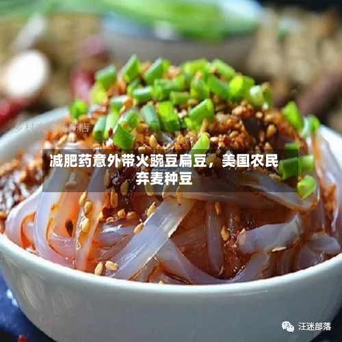 减肥药意外带火豌豆扁豆，美国农民弃麦种豆-第3张图片