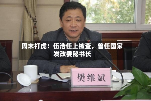 周末打虎！伍浩任上被查，曾任国家发改委秘书长-第3张图片