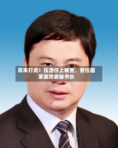周末打虎！伍浩任上被查，曾任国家发改委秘书长-第2张图片