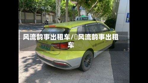 风流韵事出租车/ 风流韵事出租车-第2张图片
