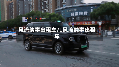 风流韵事出租车/ 风流韵事出租车-第3张图片
