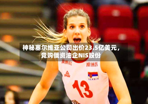 神秘塞尔维亚公司出价23.5亿美元	，竞购俄资油企NIS股份-第3张图片
