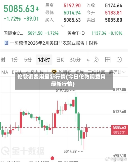 伦敦铜费用最新行情(今日伦敦铜费用最新行情)