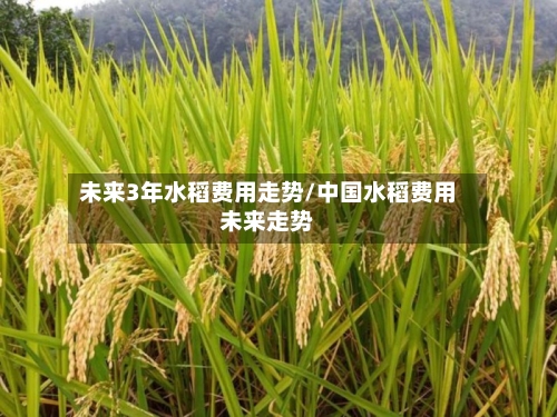 未来3年水稻费用走势/中国水稻费用未来走势-第3张图片