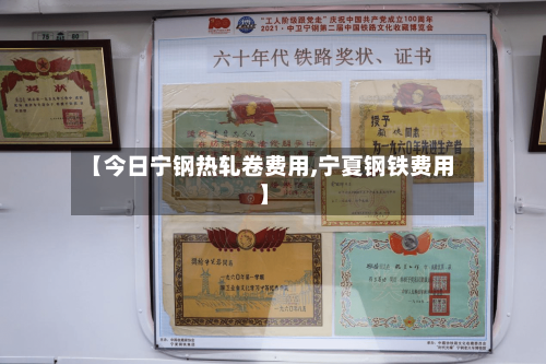 【今日宁钢热轧卷费用,宁夏钢铁费用】-第2张图片