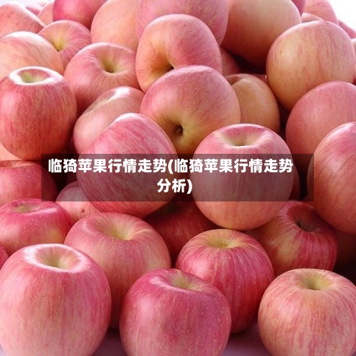 临猗苹果行情走势(临猗苹果行情走势分析)