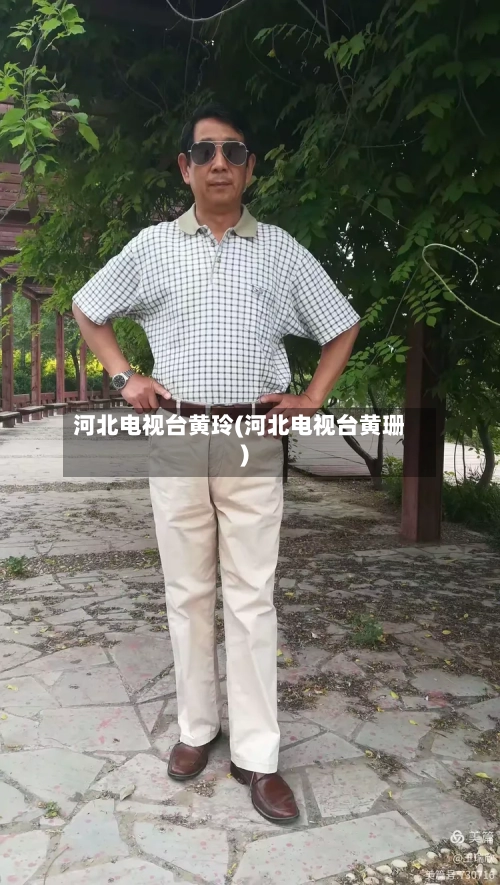 河北电视台黄玲(河北电视台黄珊)