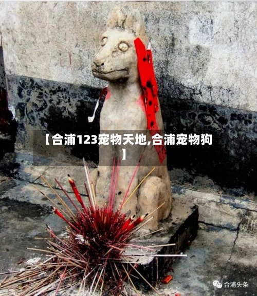 【合浦123宠物天地,合浦宠物狗】-第2张图片