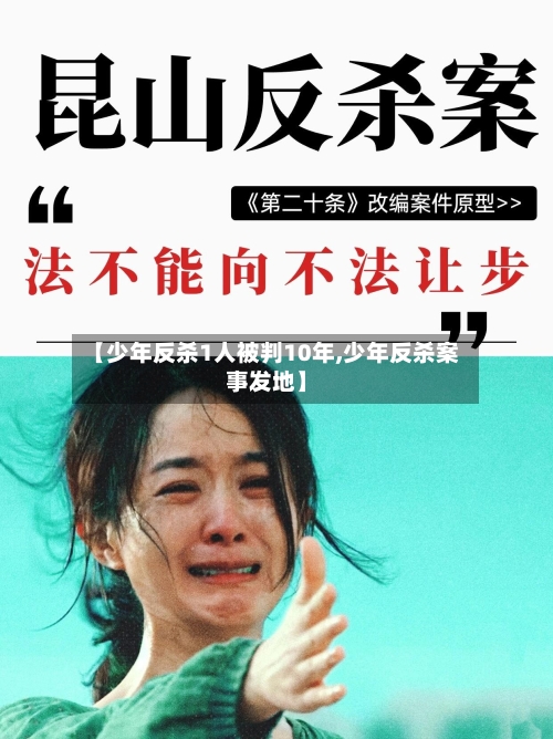 【少年反杀1人被判10年,少年反杀案事发地】
