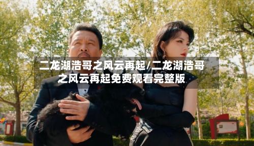 二龙湖浩哥之风云再起/二龙湖浩哥之风云再起免费观看完整版-第3张图片