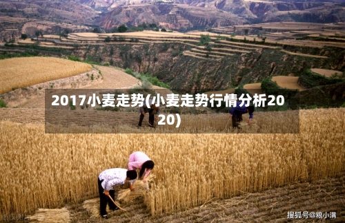 2017小麦走势(小麦走势行情分析2020)-第2张图片
