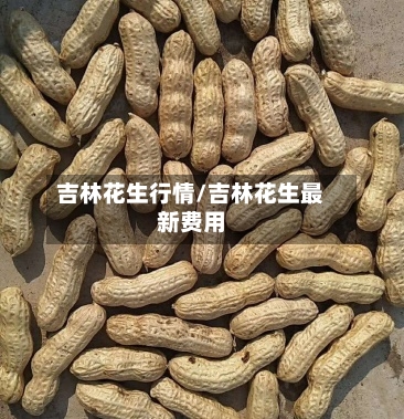 吉林花生行情/吉林花生最新费用
