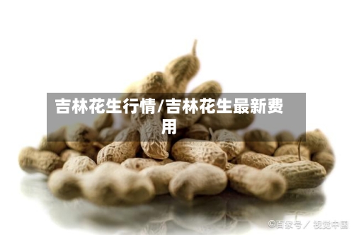 吉林花生行情/吉林花生最新费用-第2张图片