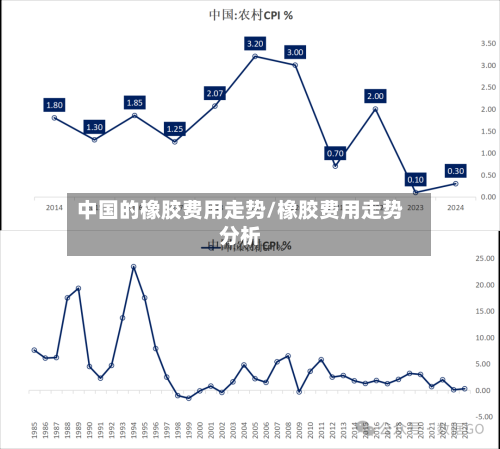 中国的橡胶费用走势/橡胶费用走势分析