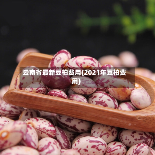 云南省最新豆柏费用(2021年豆柏费用)