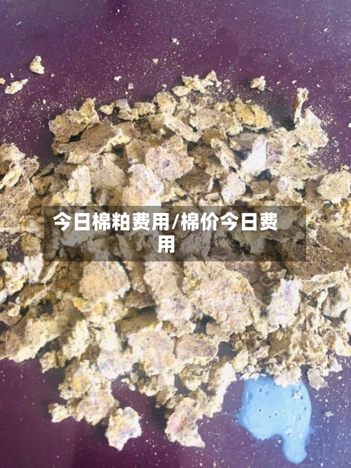 今日棉粕费用/棉价今日费用