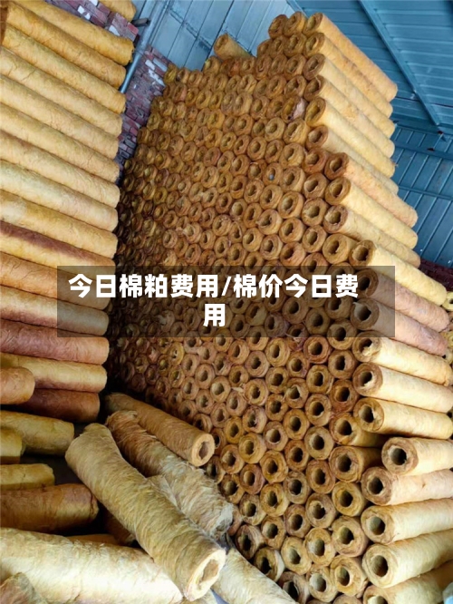 今日棉粕费用/棉价今日费用-第3张图片