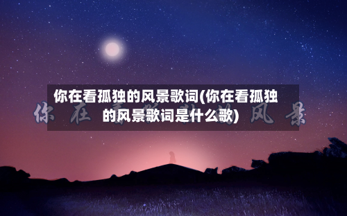你在看孤独的风景歌词(你在看孤独的风景歌词是什么歌)