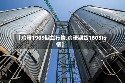 【鸡蛋1909期货行情,鸡蛋期货1805行情】