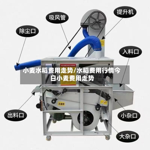 小麦水稻费用走势/水稻费用行情今日小麦费用走势-第2张图片