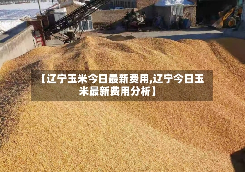 【辽宁玉米今日最新费用,辽宁今日玉米最新费用分析】-第3张图片