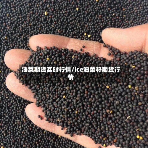 油菜期货实时行情/ice油菜籽期货行情