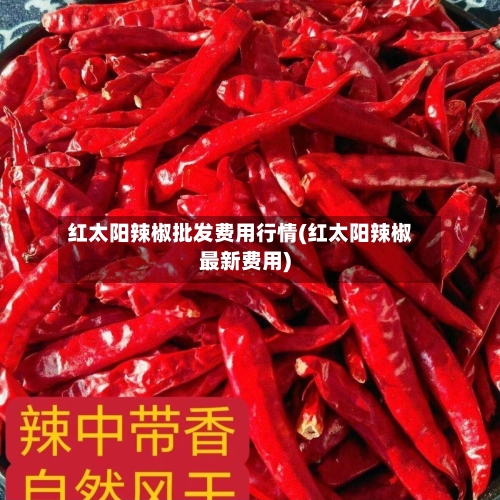 红太阳辣椒批发费用行情(红太阳辣椒最新费用)-第2张图片