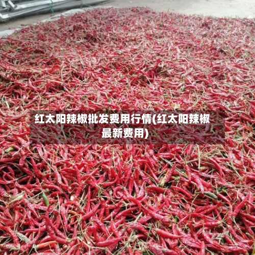 红太阳辣椒批发费用行情(红太阳辣椒最新费用)