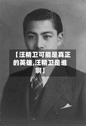 【汪精卫可能是真正的英雄,汪精卫是谁啊】-第2张图片