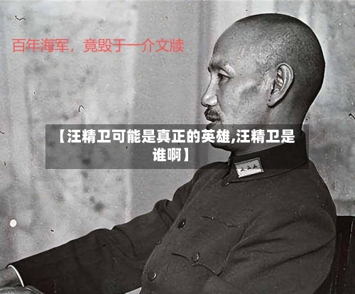 【汪精卫可能是真正的英雄,汪精卫是谁啊】