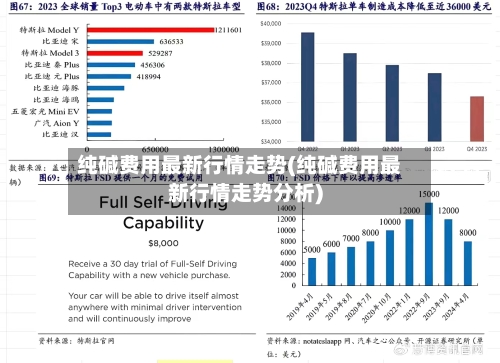 纯碱费用最新行情走势(纯碱费用最新行情走势分析)