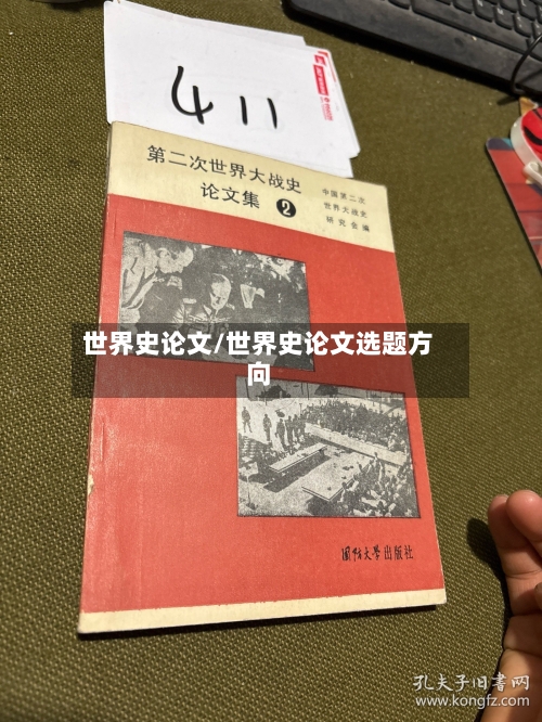 世界史论文/世界史论文选题方向-第2张图片