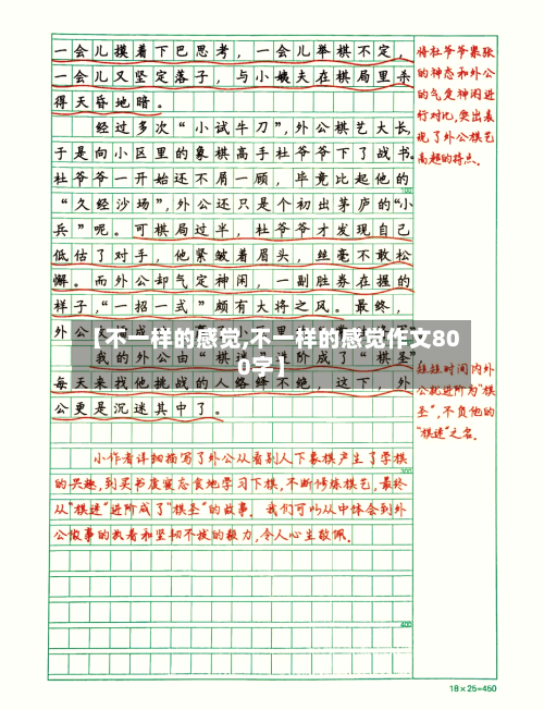 【不一样的感觉,不一样的感觉作文800字】