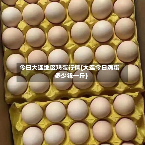 今日大连地区鸡蛋行情(大连今日鸡蛋多少钱一斤)