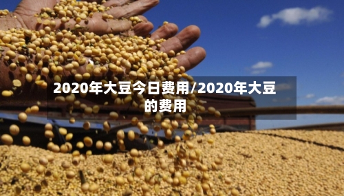 2020年大豆今日费用/2020年大豆的费用