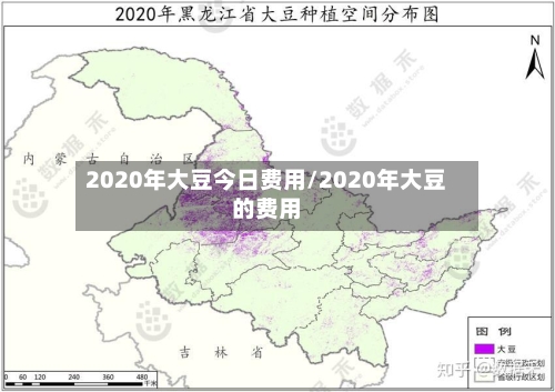 2020年大豆今日费用/2020年大豆的费用-第3张图片