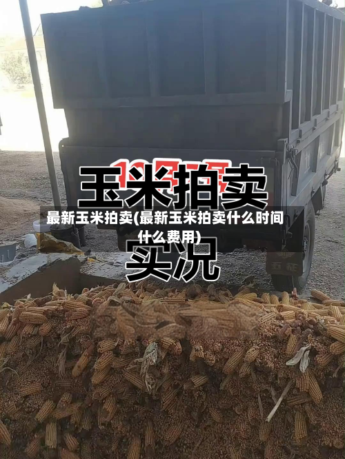 最新玉米拍卖(最新玉米拍卖什么时间什么费用)