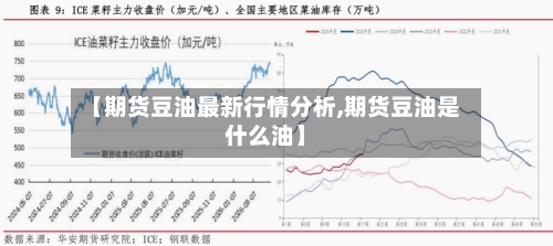 【期货豆油最新行情分析,期货豆油是什么油】