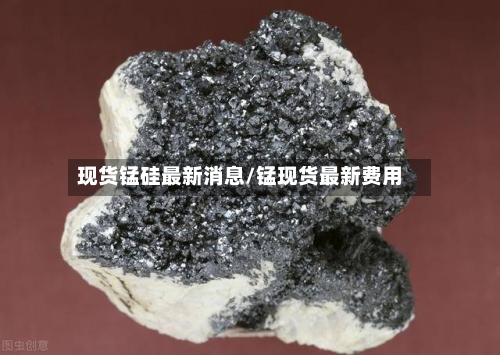 现货锰硅最新消息/锰现货最新费用