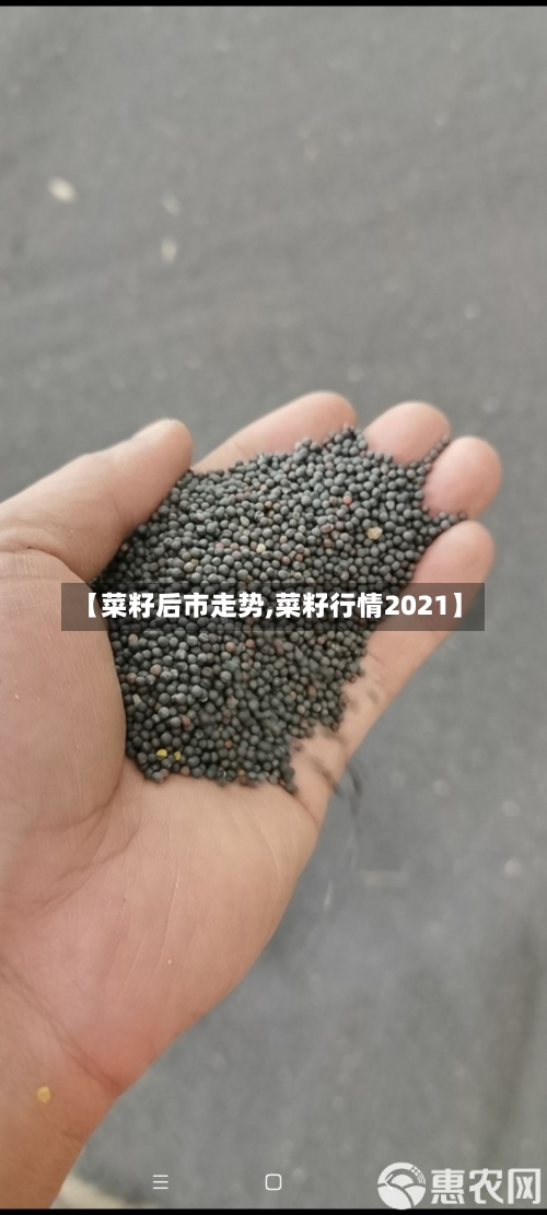 【菜籽后市走势,菜籽行情2021】-第2张图片