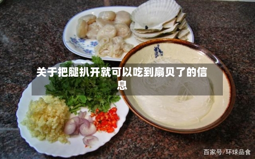 关于把腿扒开就可以吃到扇贝了的信息