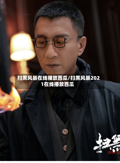 扫黑风暴在线播放西瓜/扫黑风暴2021在线播放西瓜-第2张图片