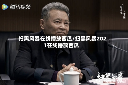 扫黑风暴在线播放西瓜/扫黑风暴2021在线播放西瓜-第3张图片