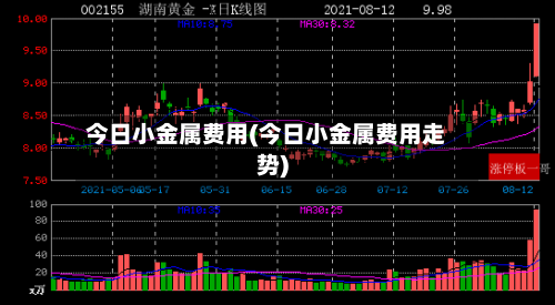 今日小金属费用(今日小金属费用走势)-第2张图片