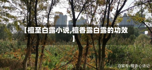【檀至白露小说,檀香露白露的功效】-第3张图片